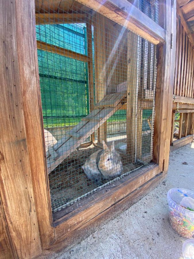 Letnia Oaza "Akacja" Apartamento Sobienie Jeziory Exterior foto